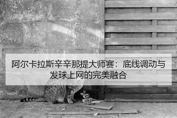 a-er-ka-la-si-xin-xin-na-ti-da-shi-sai-di-xian-diao-dong-yu-fa-qiu-shang-wang-de-wan-mei-rong-he-3-737.jpg