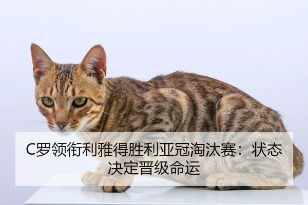 C罗领衔利雅得胜利亚冠淘汰赛：状态决定晋级命运