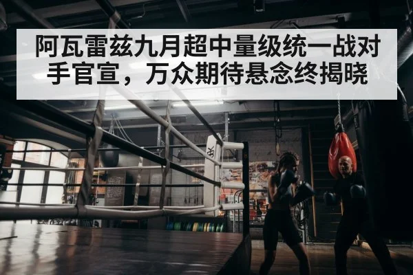 boxer training