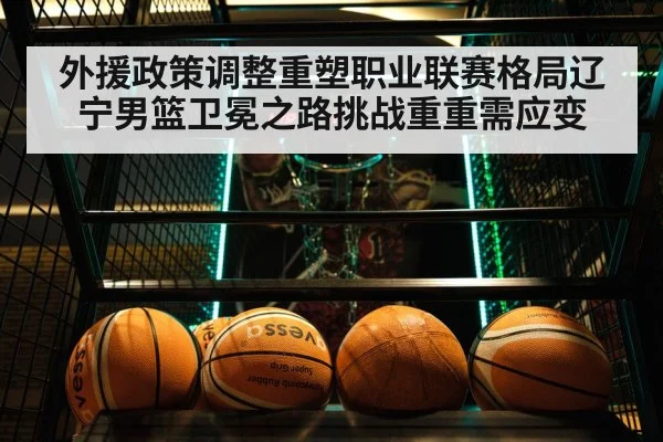 外援政策调整重塑职业联赛格局辽宁男篮卫冕之路挑战重重需应变